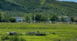 PSAC grieves with Indigenous communities as more unmarked graves are discovered in Saskatchewan graves-site