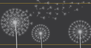 National Day of Mourning: Work shouldn’t hurt