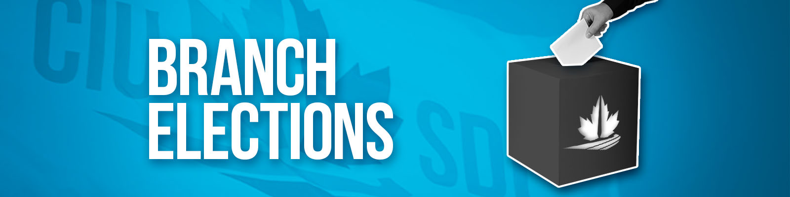 branch-elections-banner-en